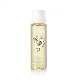 Vagheggi Irritual Line Flowery Essence